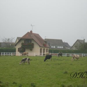 Tirage3