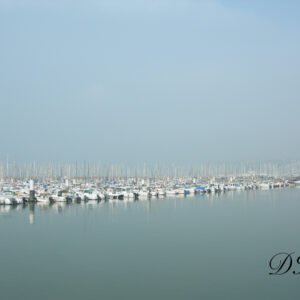 Photo8