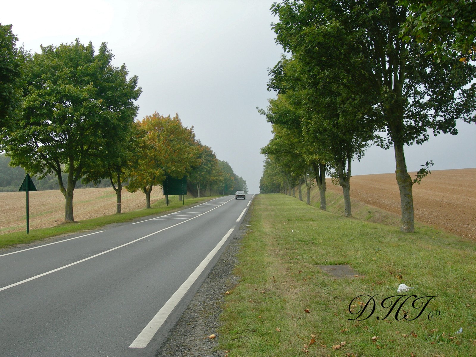 Images - 6 sur 14225