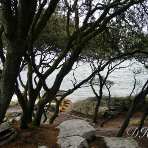 Photo24