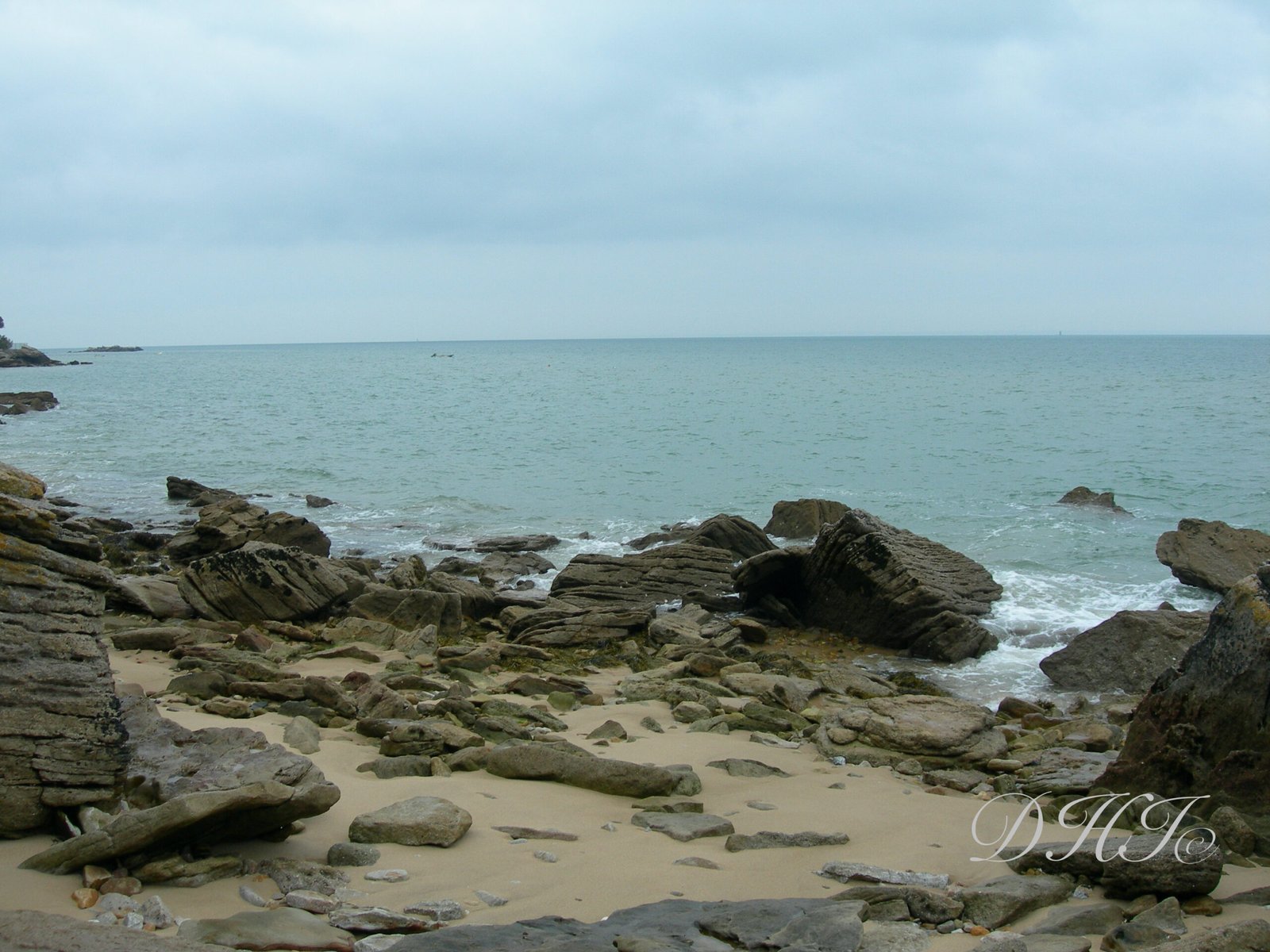 Images - 140 sur 14225