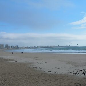 Photo45