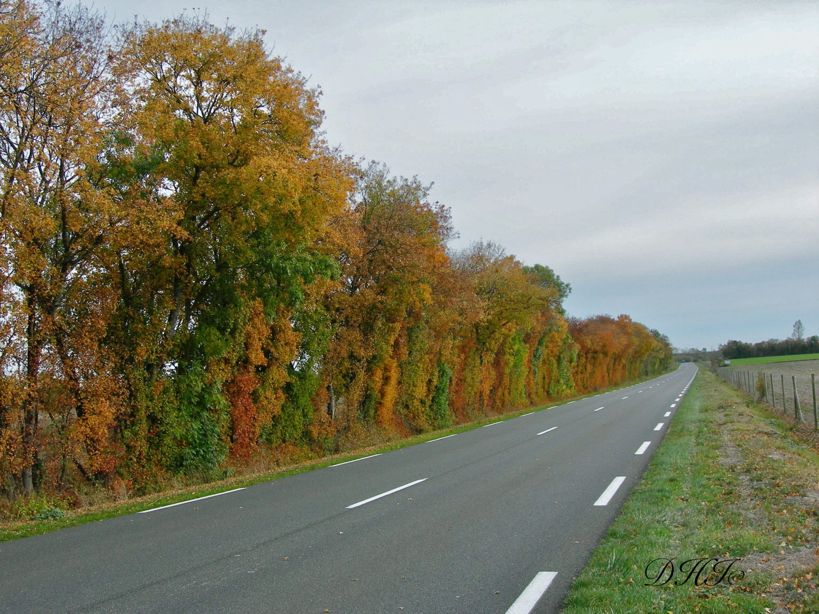 Images - 200 sur 14225