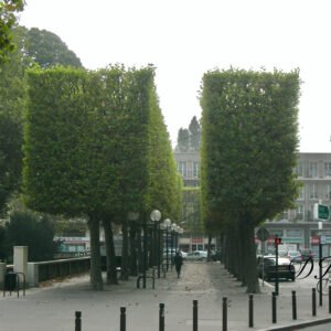 Bild12