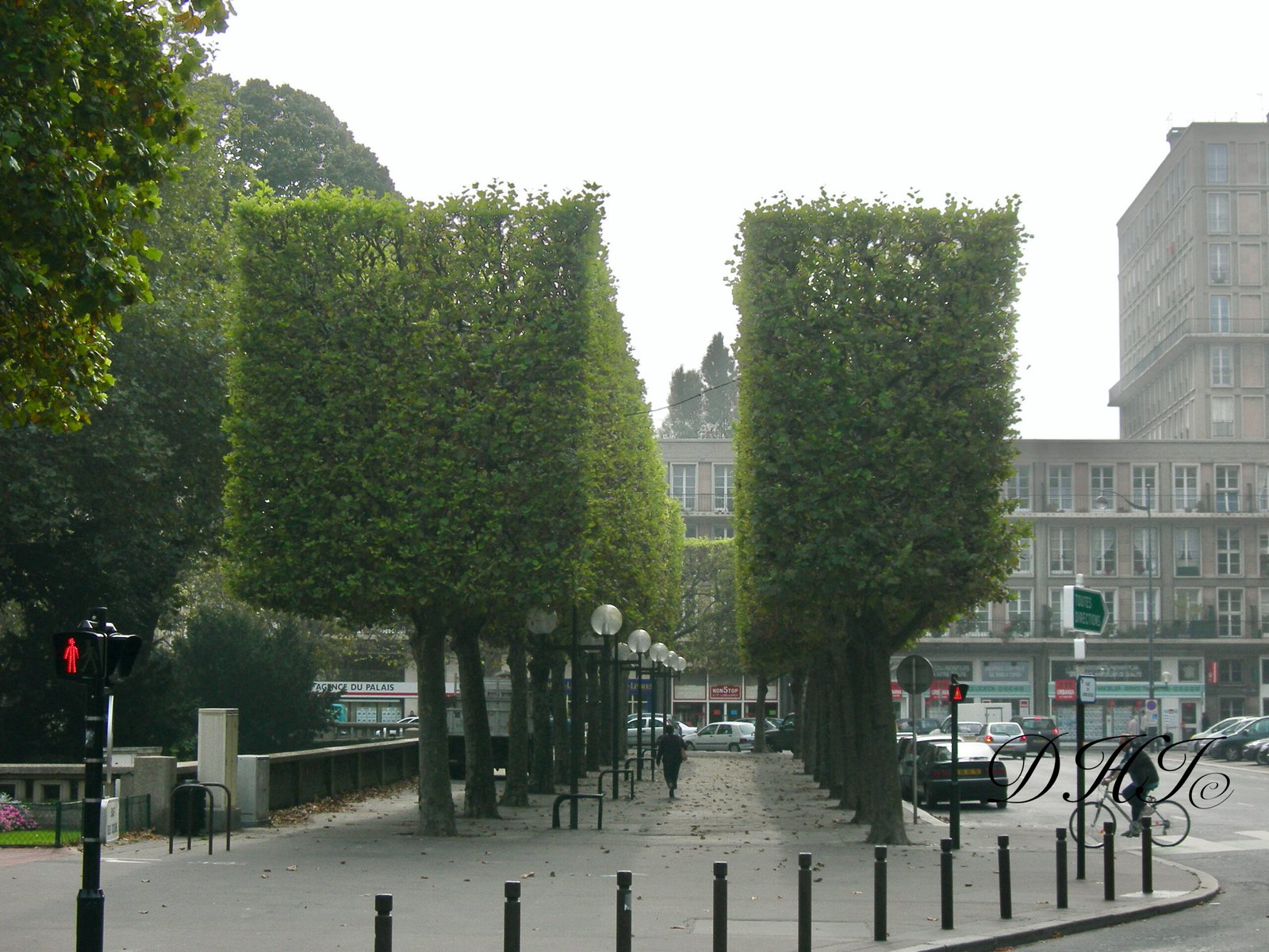 Images - 39 sur 14225