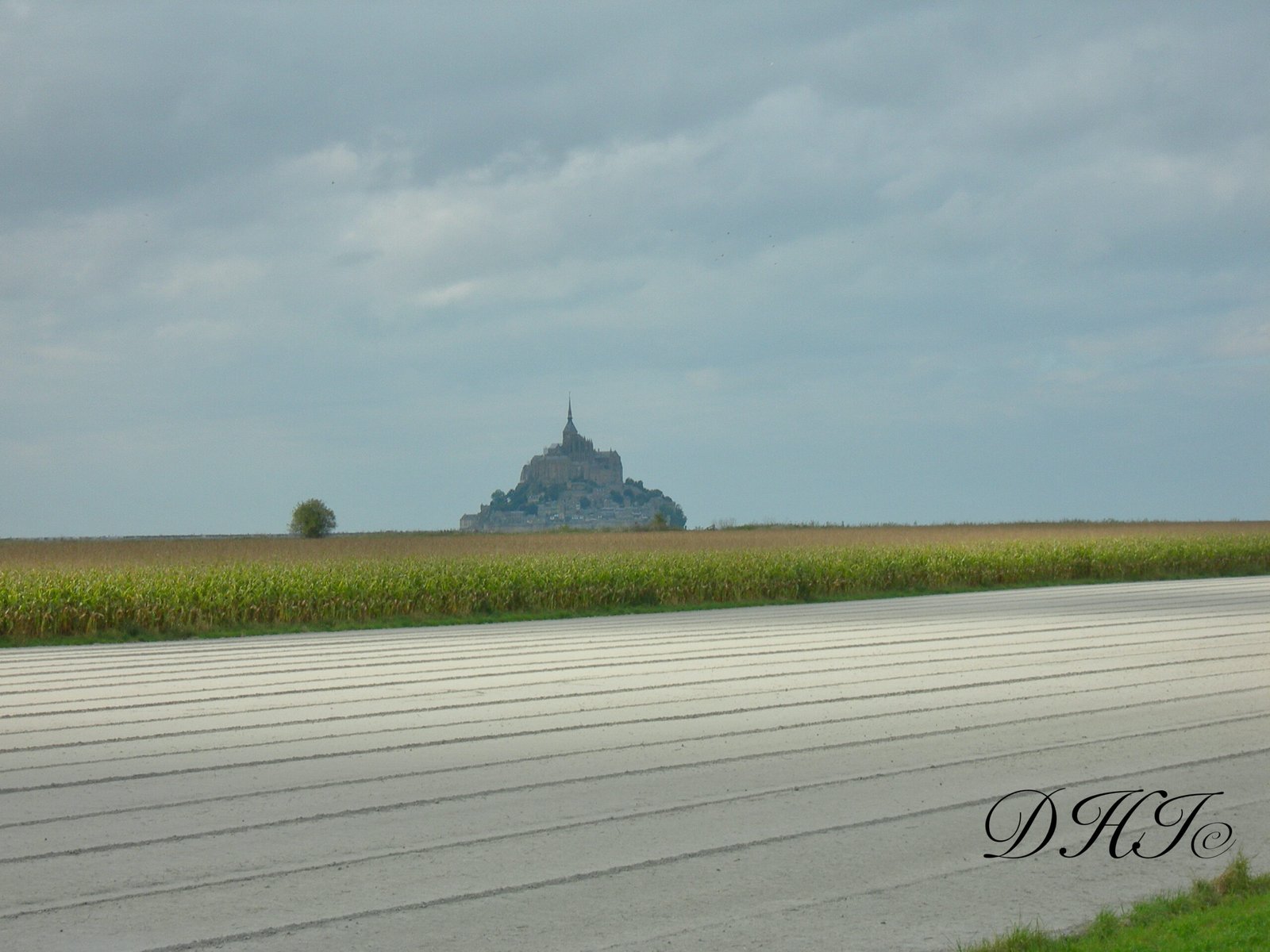 Images - 58 sur 14225