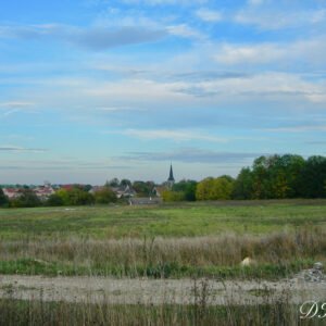 Photo62