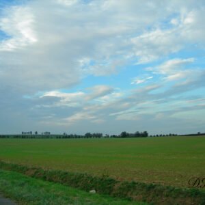 Bild63