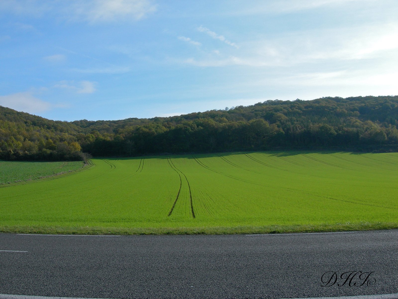 Images - 299 sur 14225