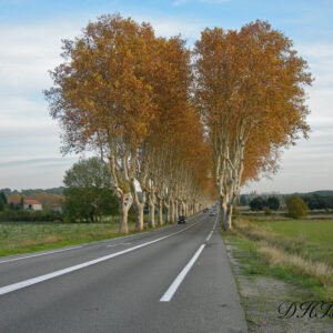 Tirage76