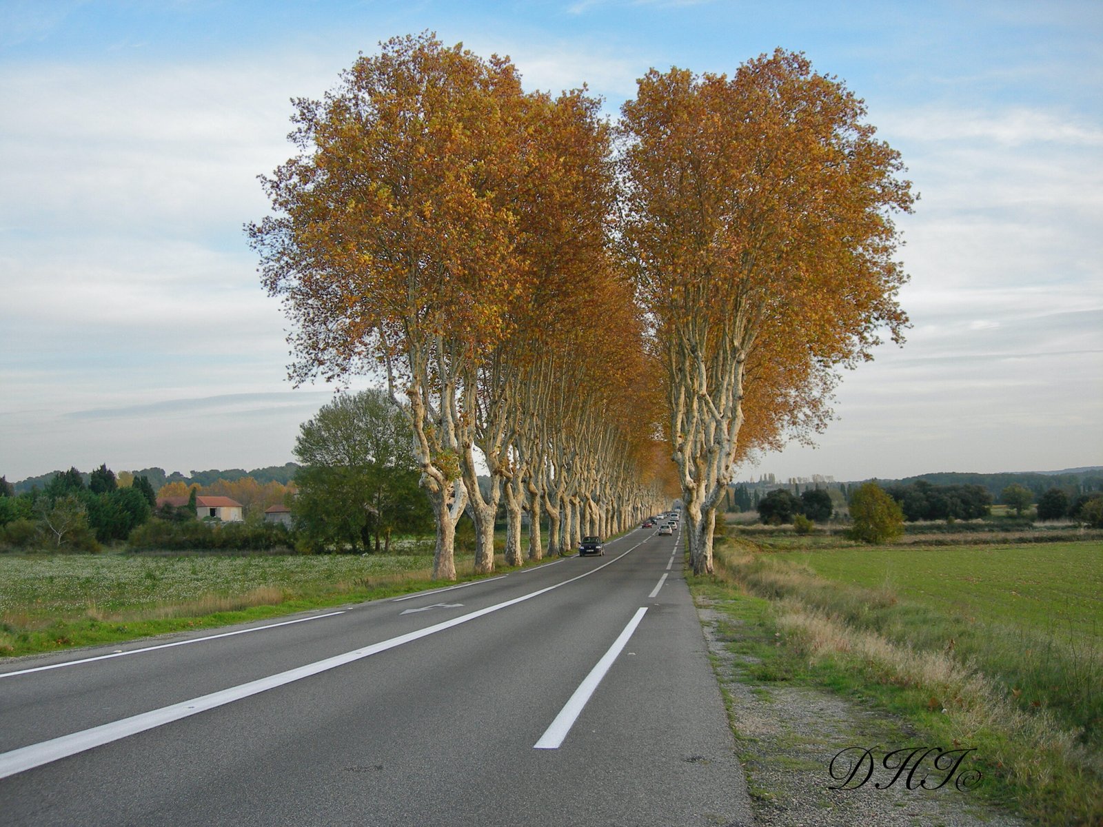 Images - 340 sur 14225