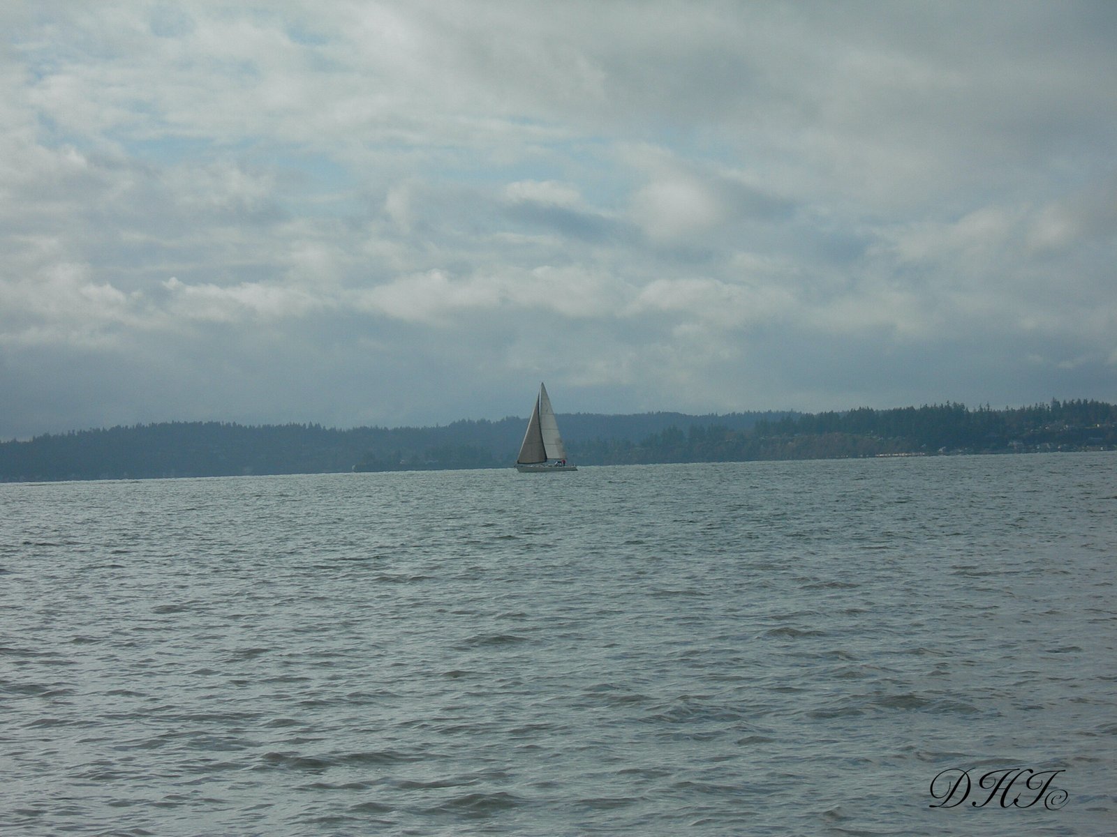 Images - 531 sur 14225