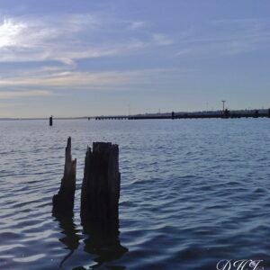Bild181